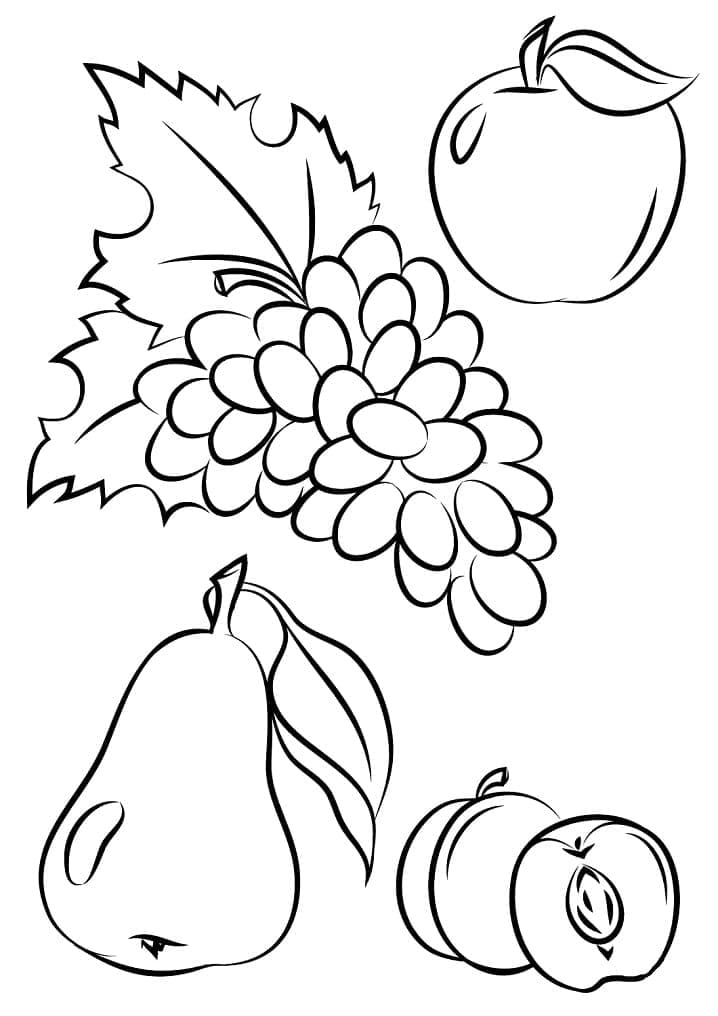 Fruits Automne coloring page