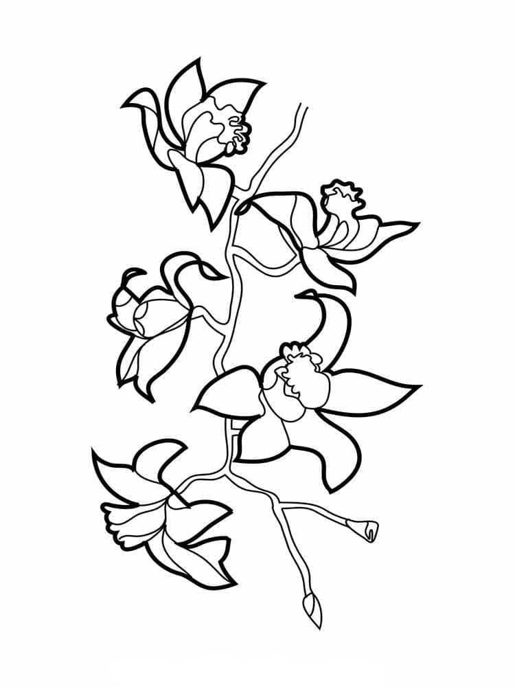 Jolie Orchidée coloring page