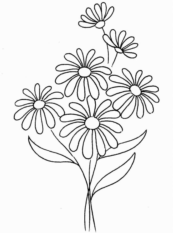 Jolies Fleurs de Marguerites coloring page