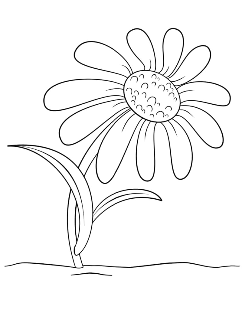 Marguerite 1 coloring page