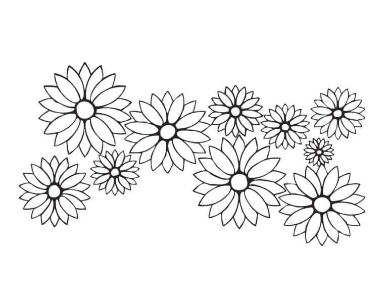 Marguerites 1 coloring page