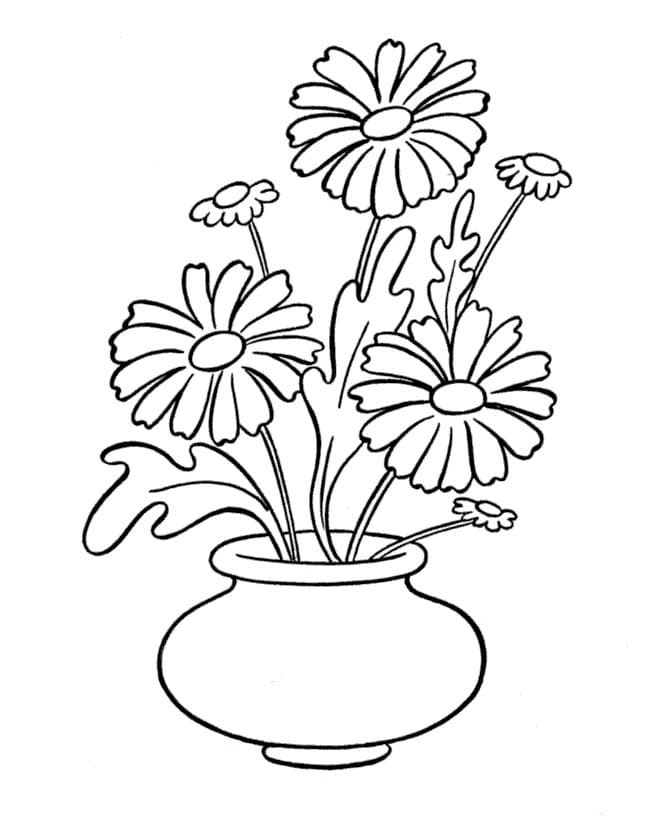 Marguerites coloring page