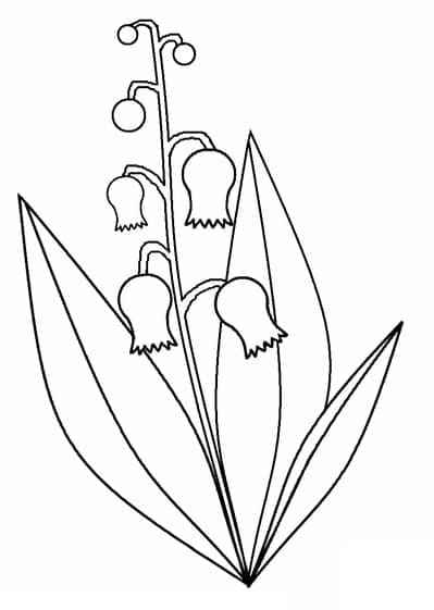 Muguet Simple coloring page