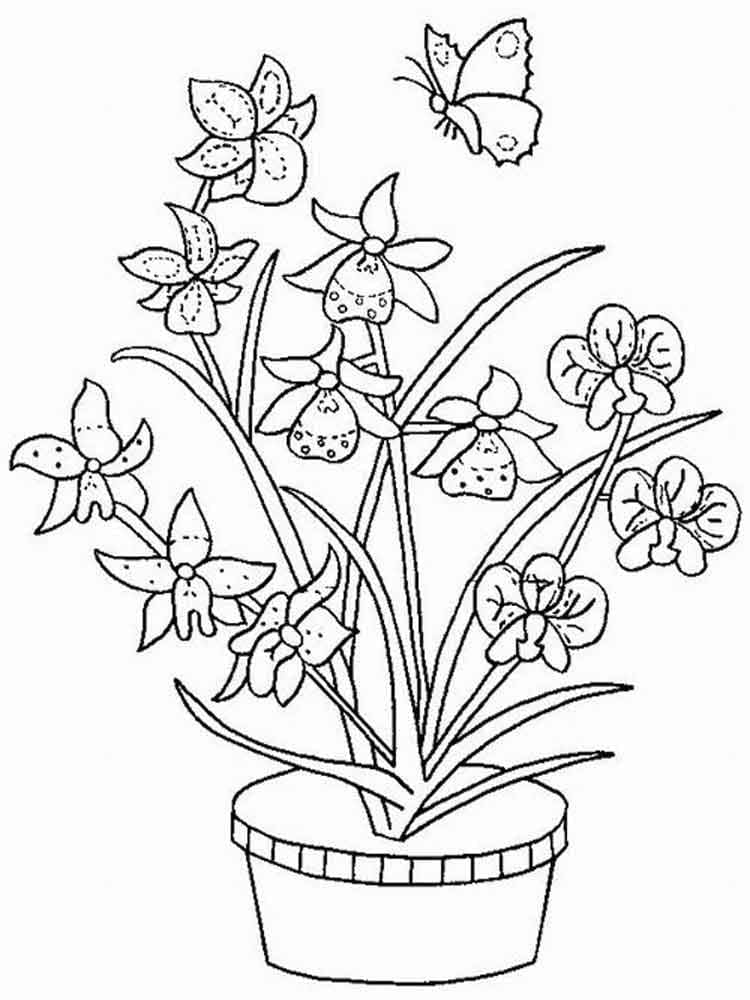 Orchidée et un Papillon coloring page