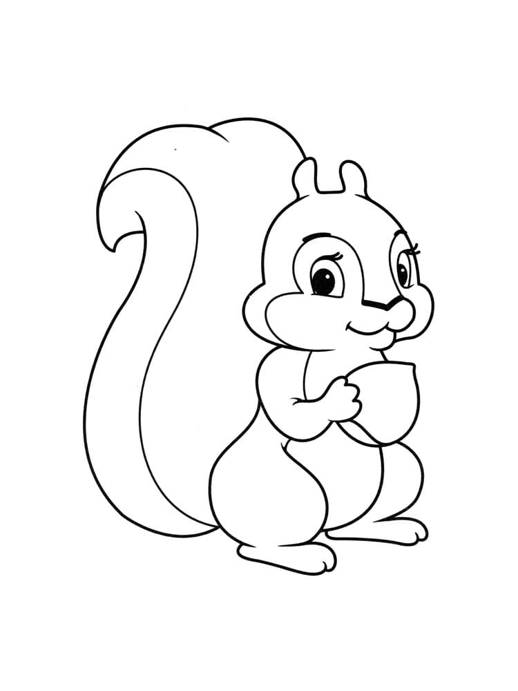 Adorable Écureuil coloring page