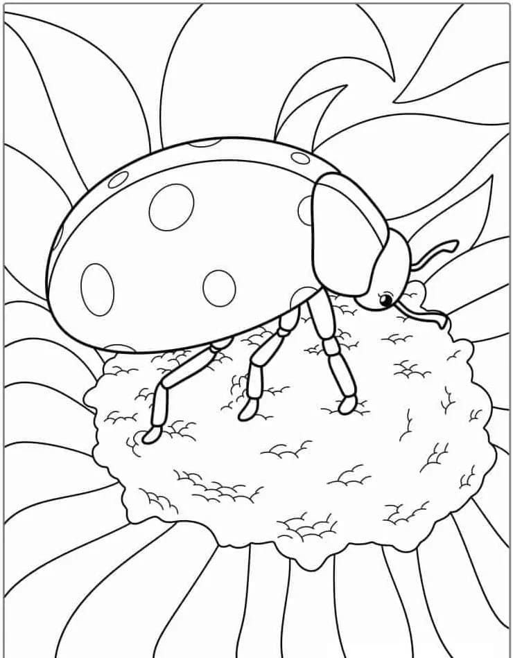 Dessin De Coccinelle Basique coloring page