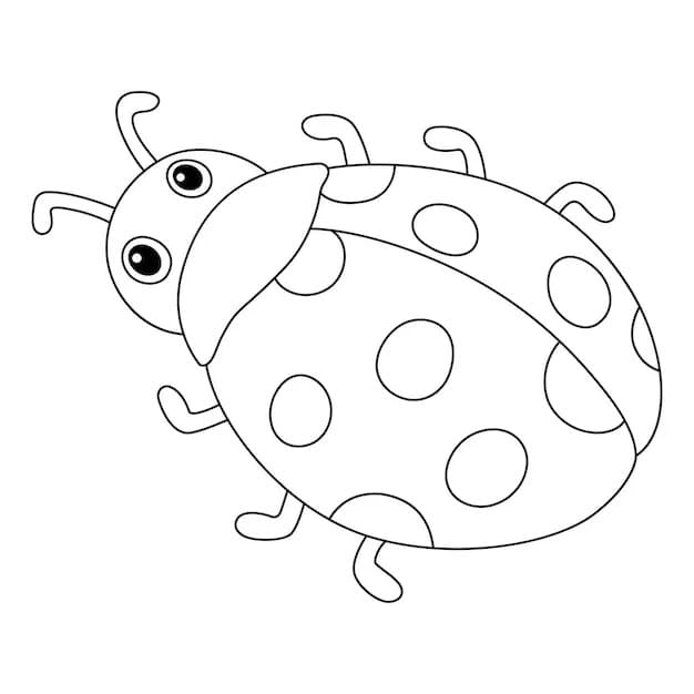 Dessin De Coccinelle Esquisser coloring page