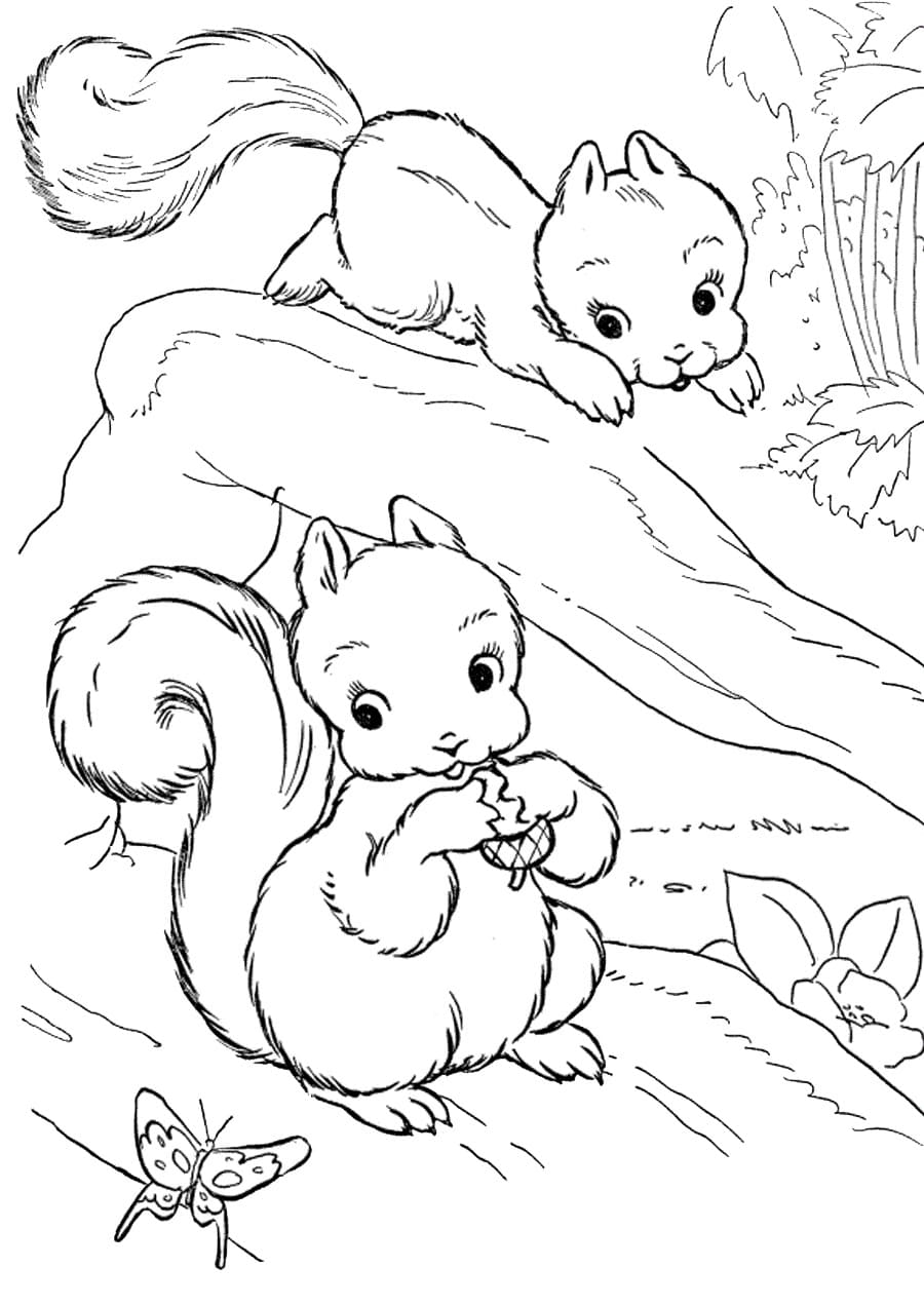 Dessin De Deux Écureuils Mignons coloring page