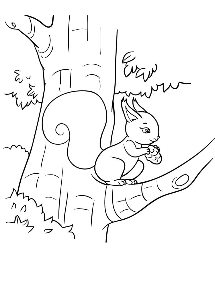 Coloriage Écureuil sur l'arbre