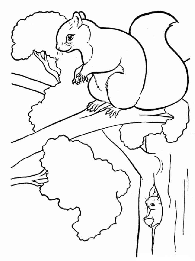 Écureuil Sur un Arbre coloring page