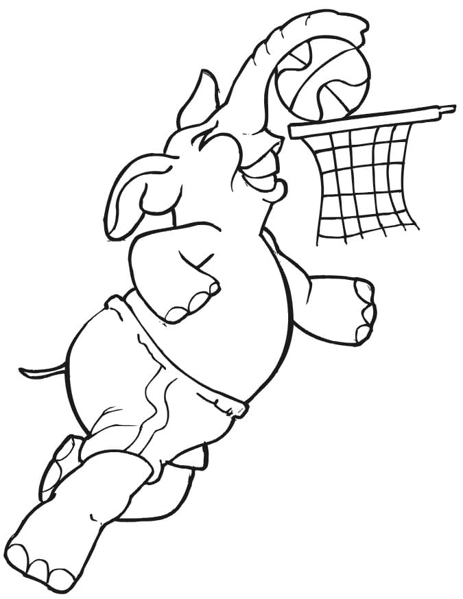 Coloriage Éléphant Joue au Basketball
