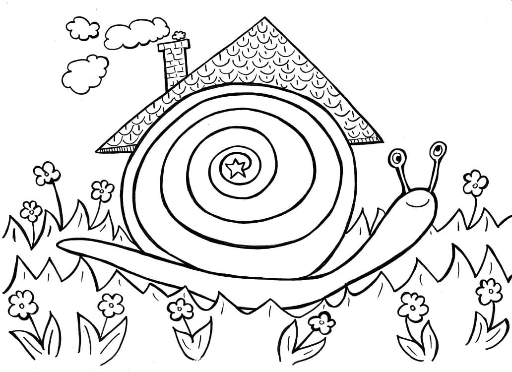 Escargot 2 coloring page