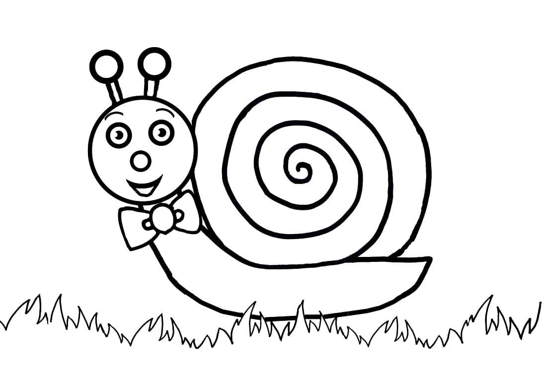 Escargot Mignon Gratuit Pour Les Enfants coloring page