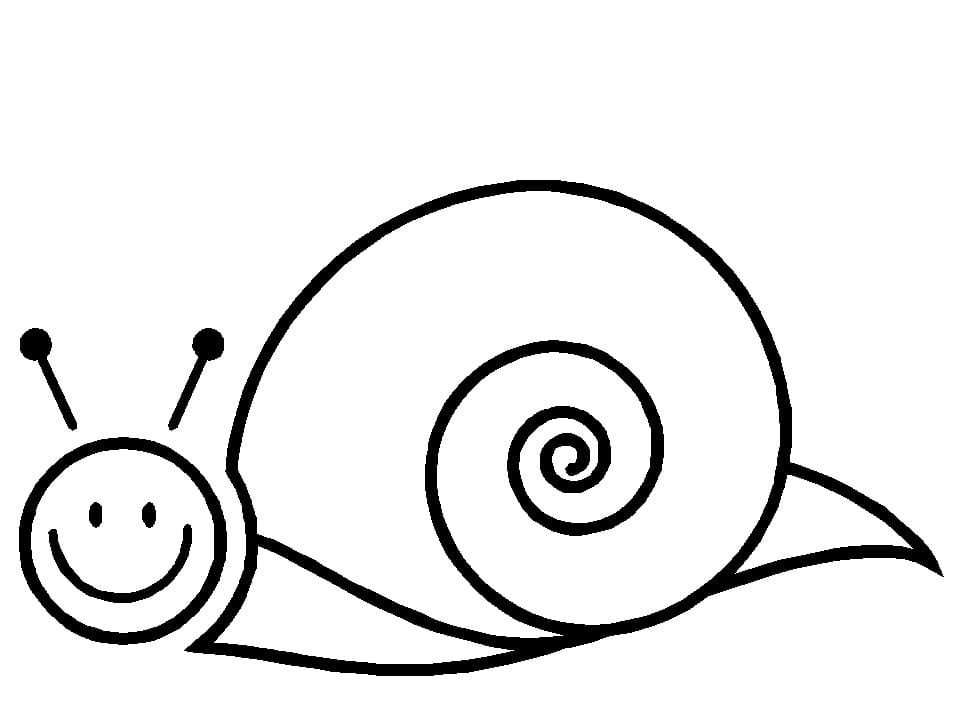 Escargot Simple coloring page