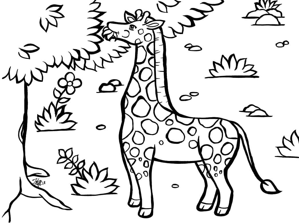 Coloriage Girafe 1