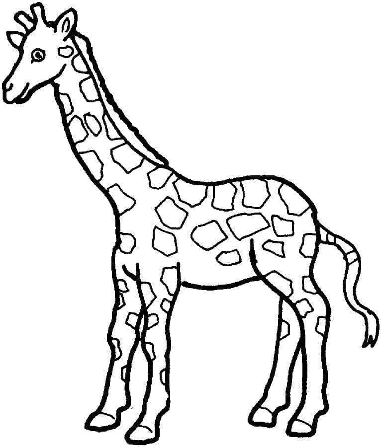 Coloriage Girafe 2