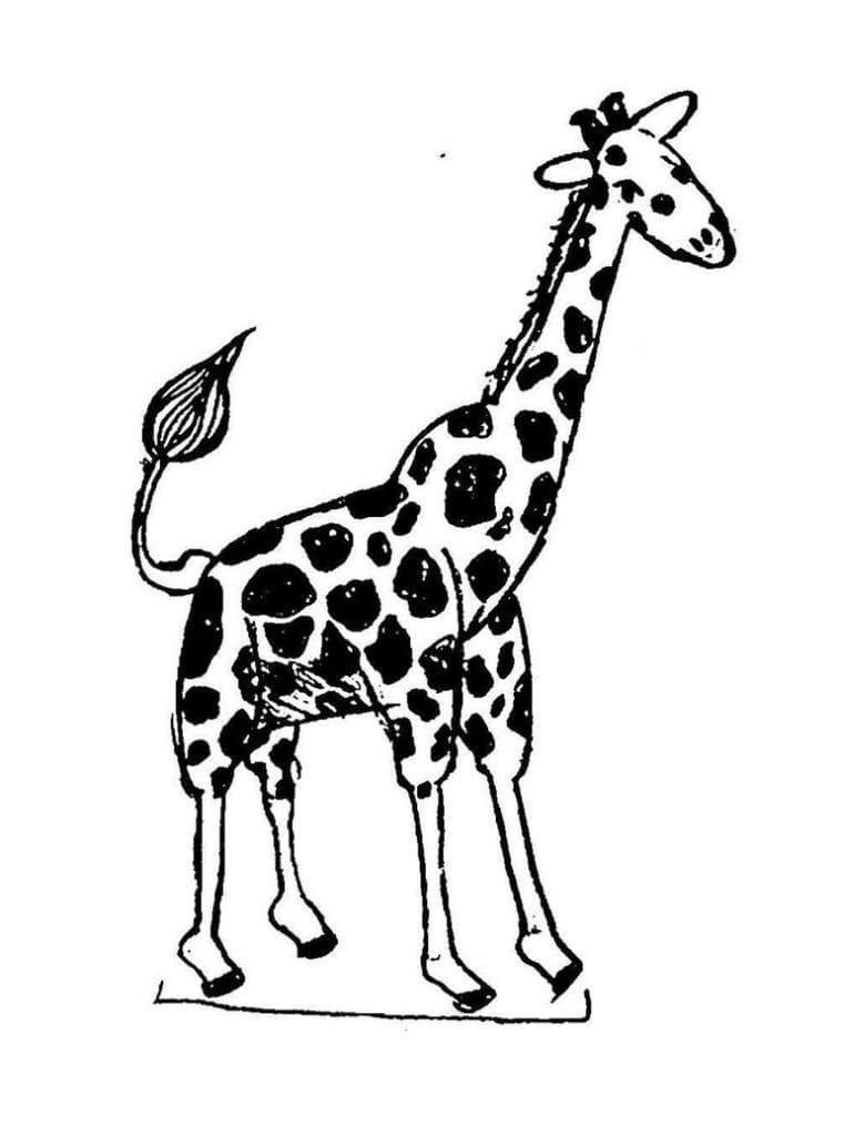 Coloriage Girafe 4