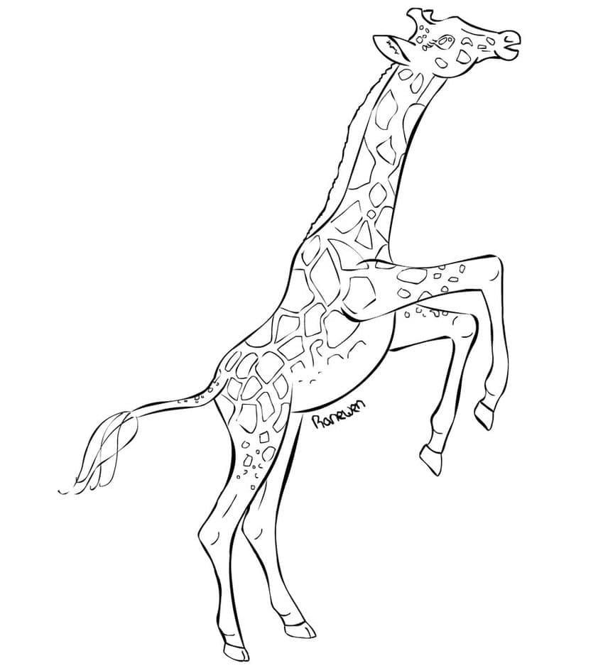 Coloriage Girafe 6