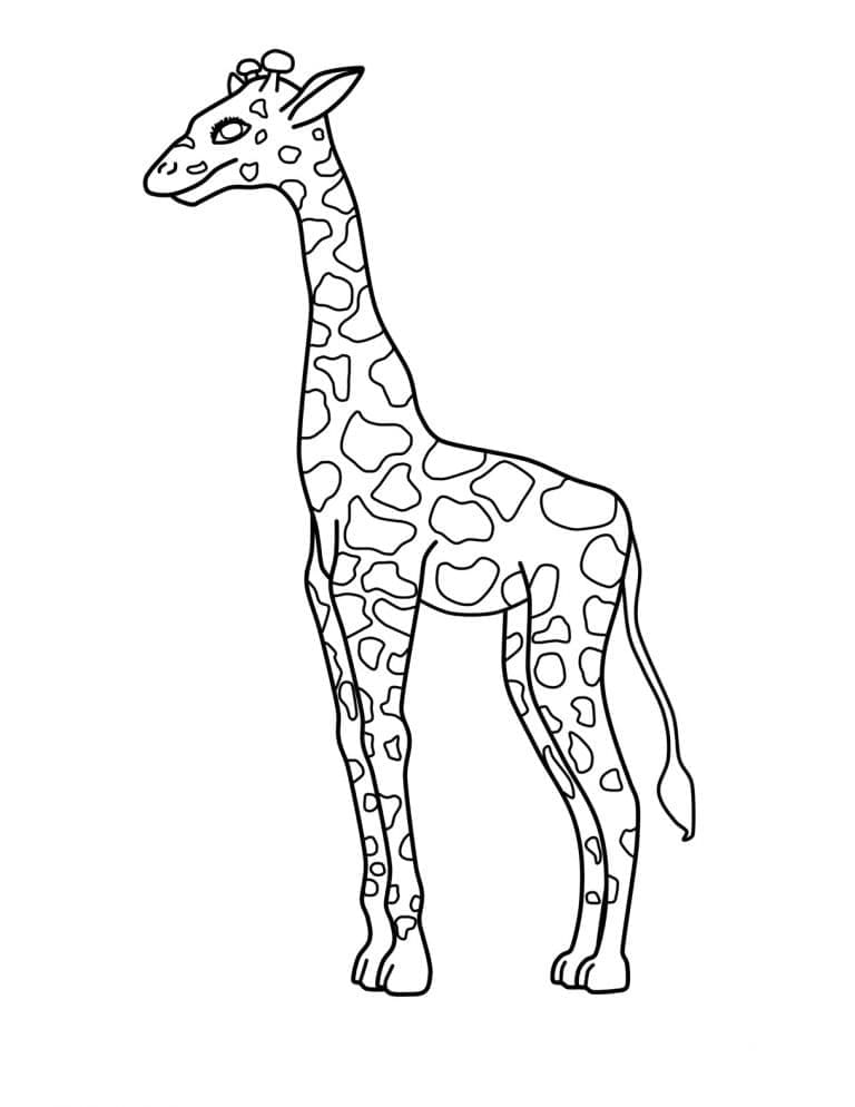 Coloriage Girafe 9