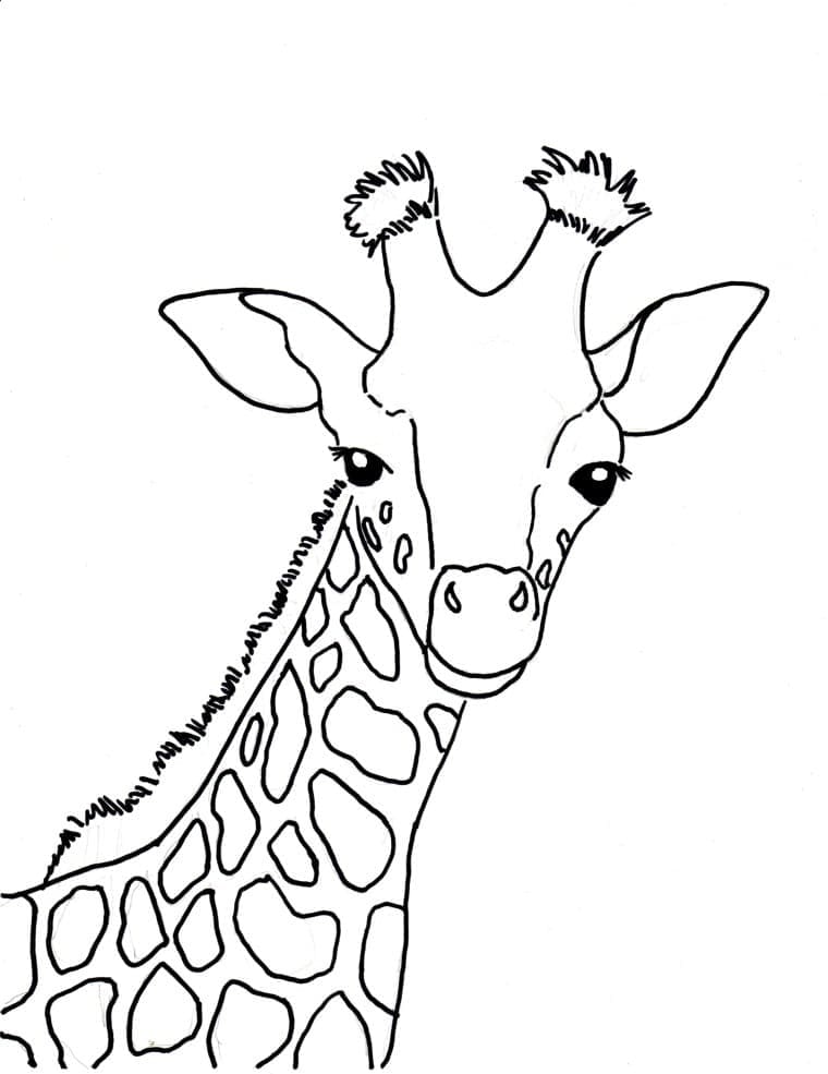 Coloriage Girafe Gratuite Pour les Enfants