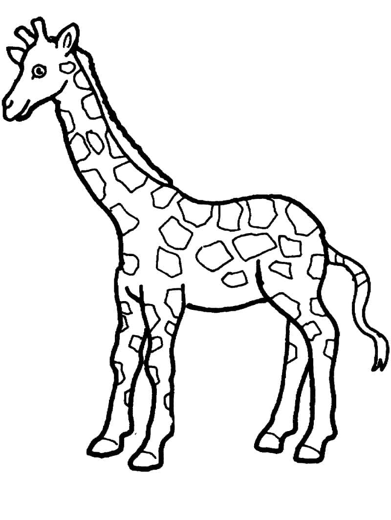 Coloriage Girafe Pour les Enfants