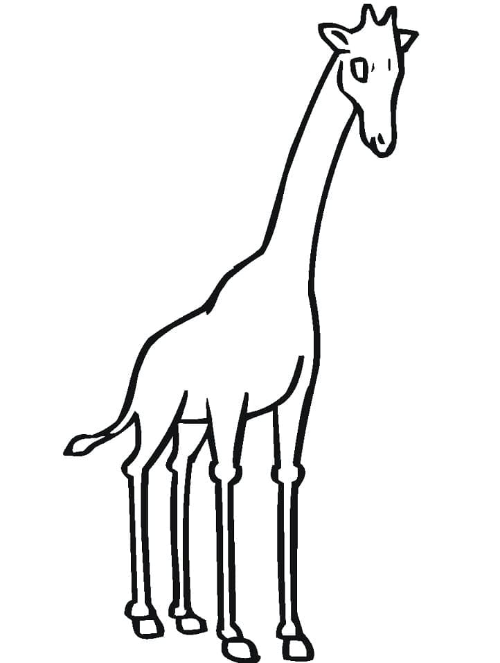 Coloriage Girafe Simple