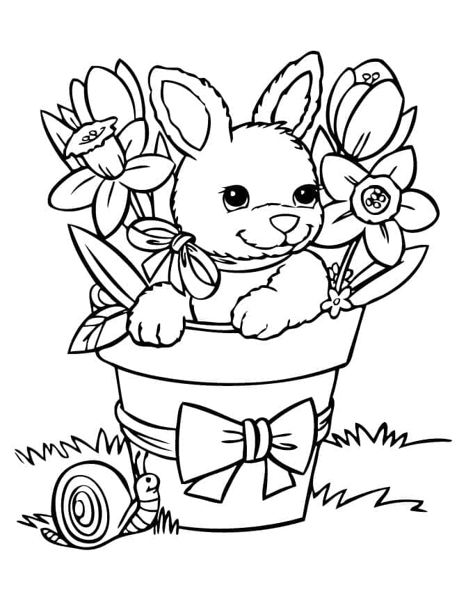 Jolie Lapin coloring page
