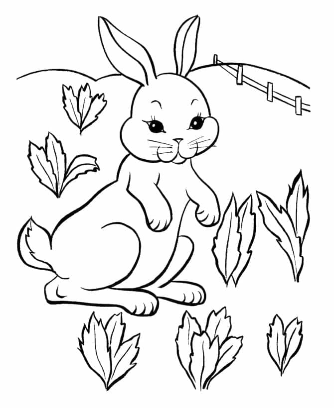 Coloriage Lapin 1