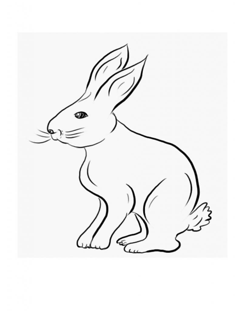 Lapin 2 coloring page