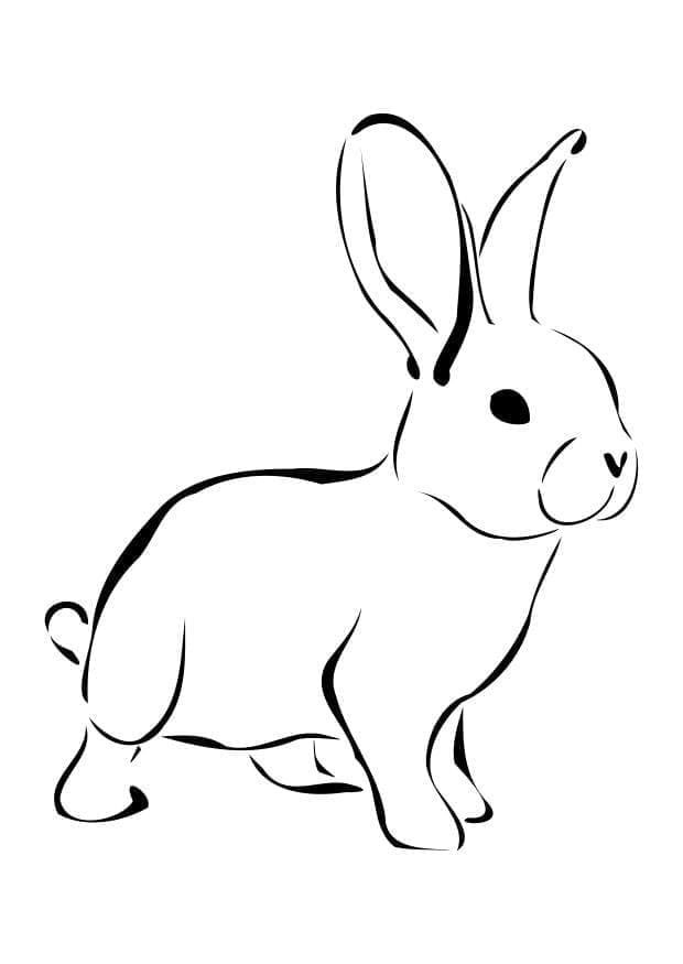 Lapin Curieux coloring page
