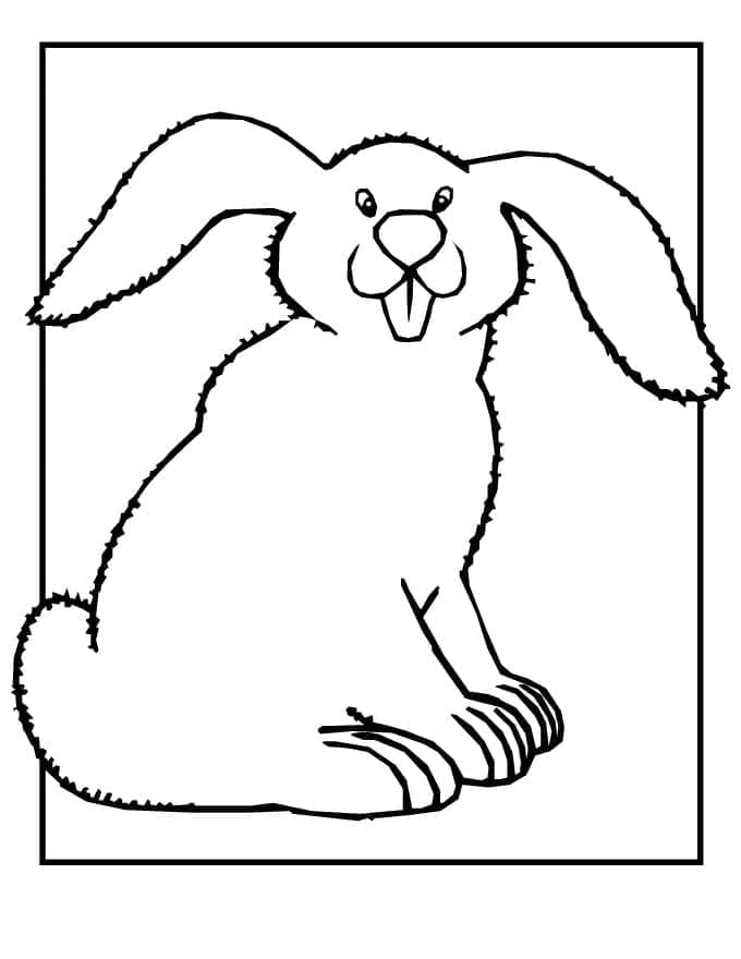 Lapin Facile coloring page