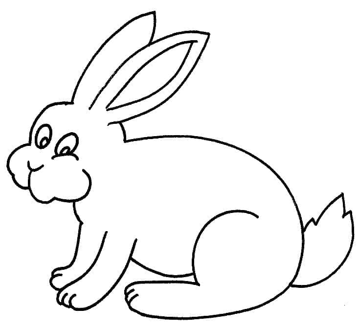 Coloriage Lapin Simple