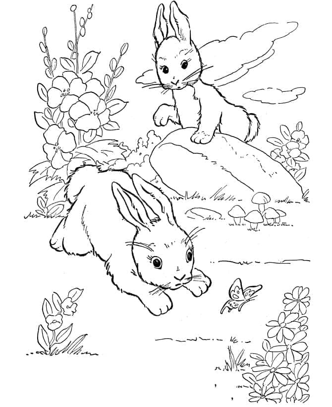 Lapins Mignons coloring page