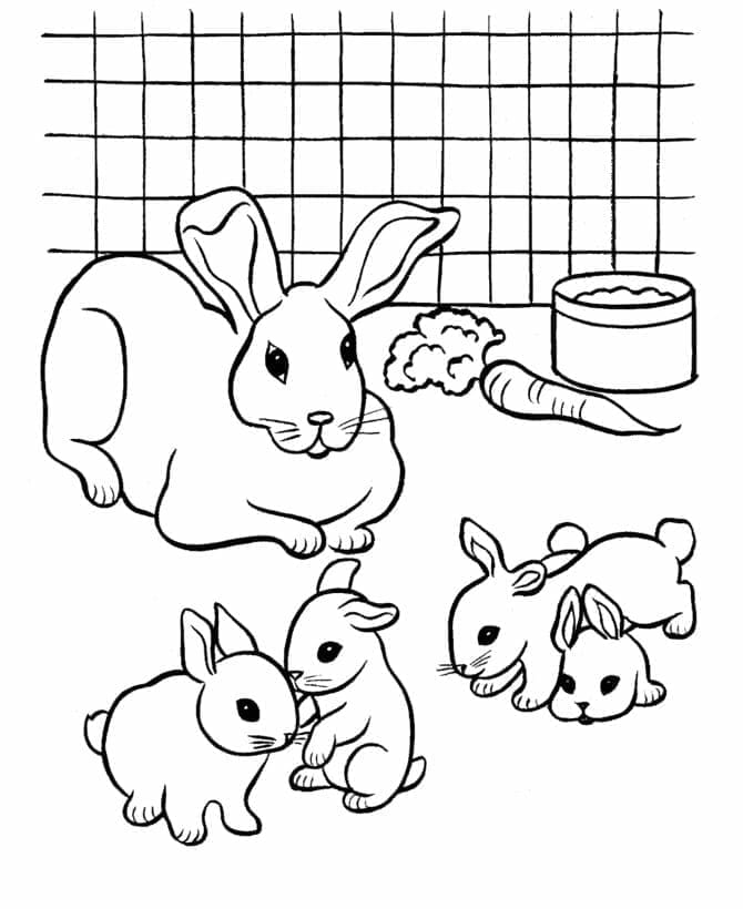 Coloriage Lapins