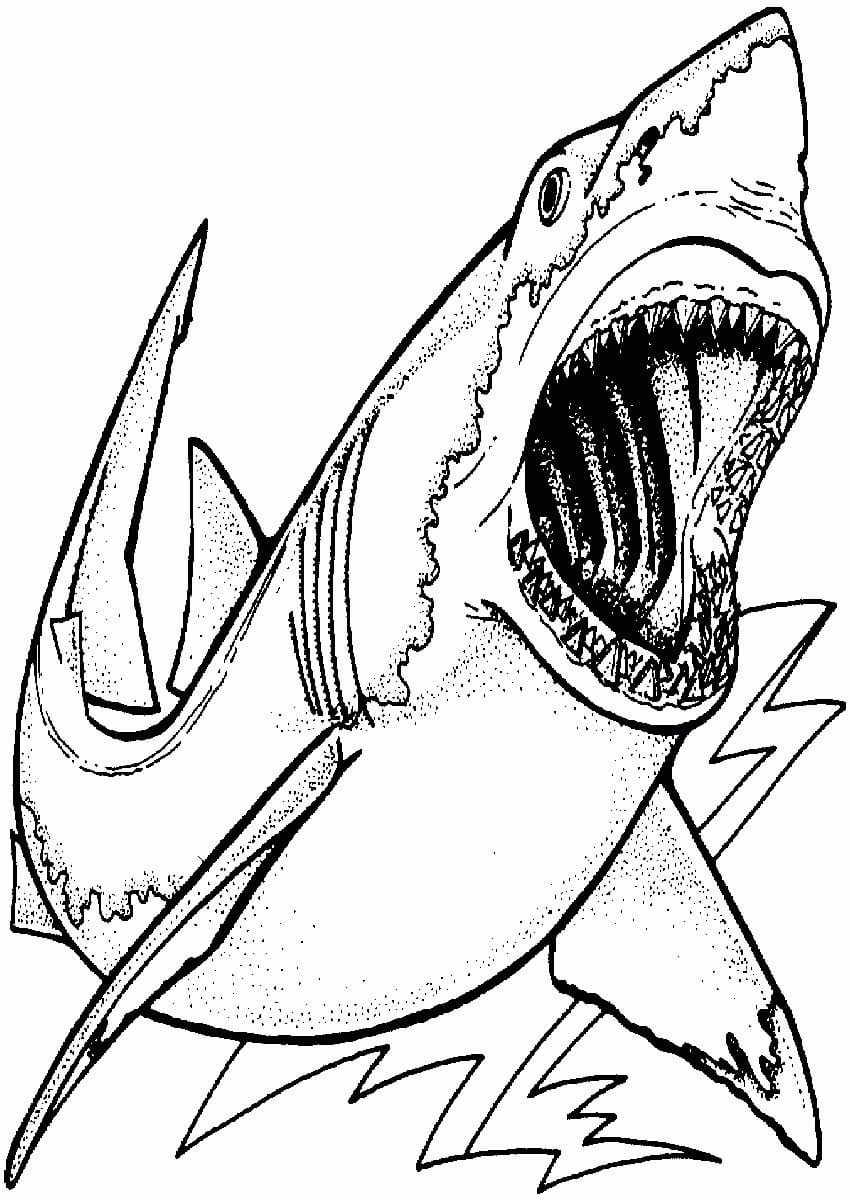 Peinture De Requin Grand coloring page