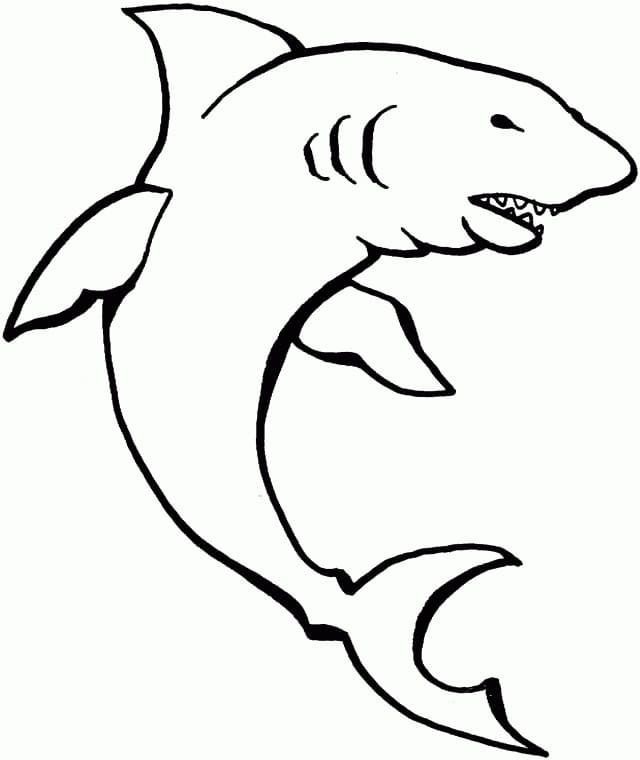 Coloriage Peinture De Requin Libre