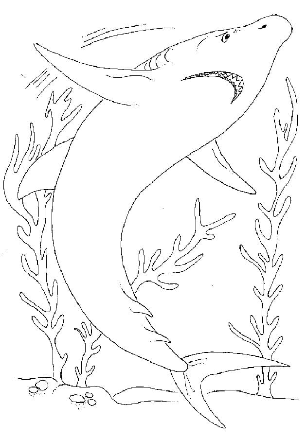 Peinture De Requin Sous Océan coloring page