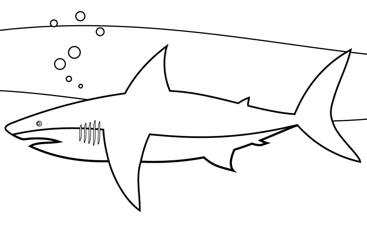 Coloriage Peinture De Un Requin