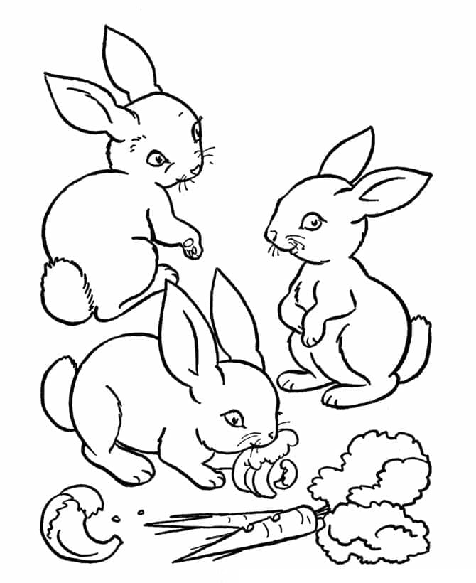Trois Lapins coloring page