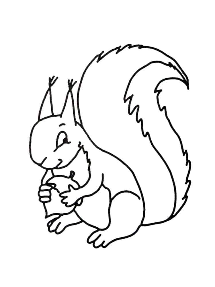 Un Écureuil Mignon coloring page