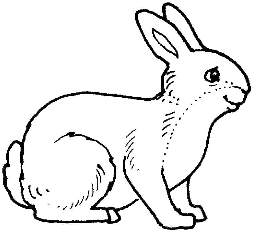 Un Lapin coloring page