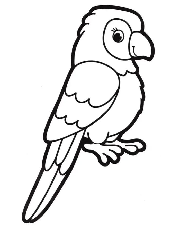 Beau Perroquet coloring page