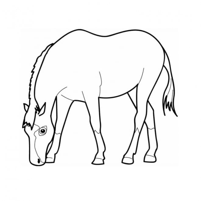 Cheval 3 coloring page
