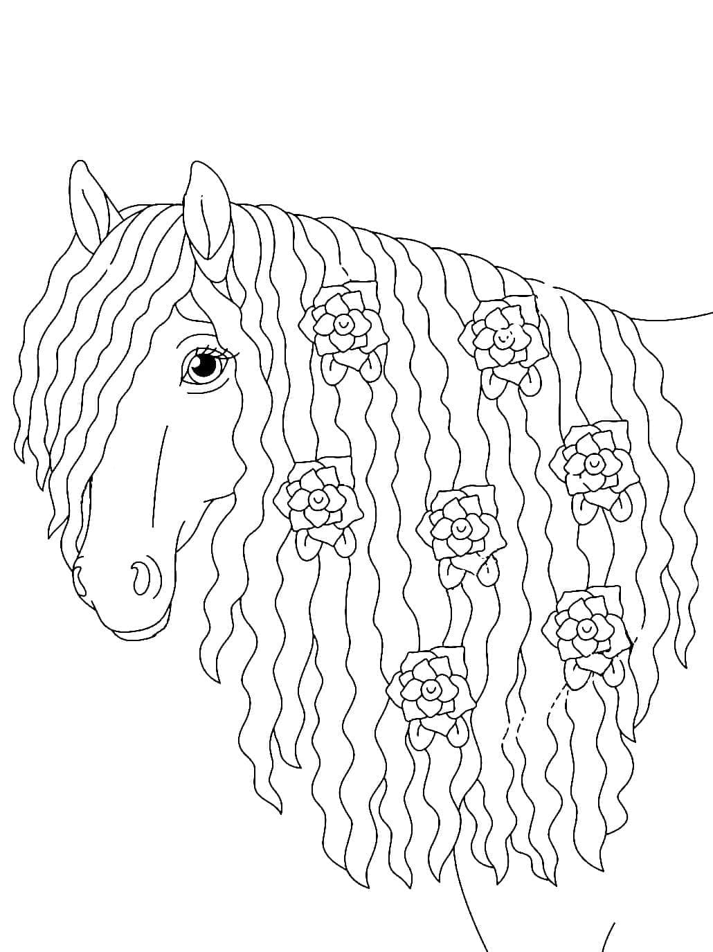 Cheval Merveilleux coloring page
