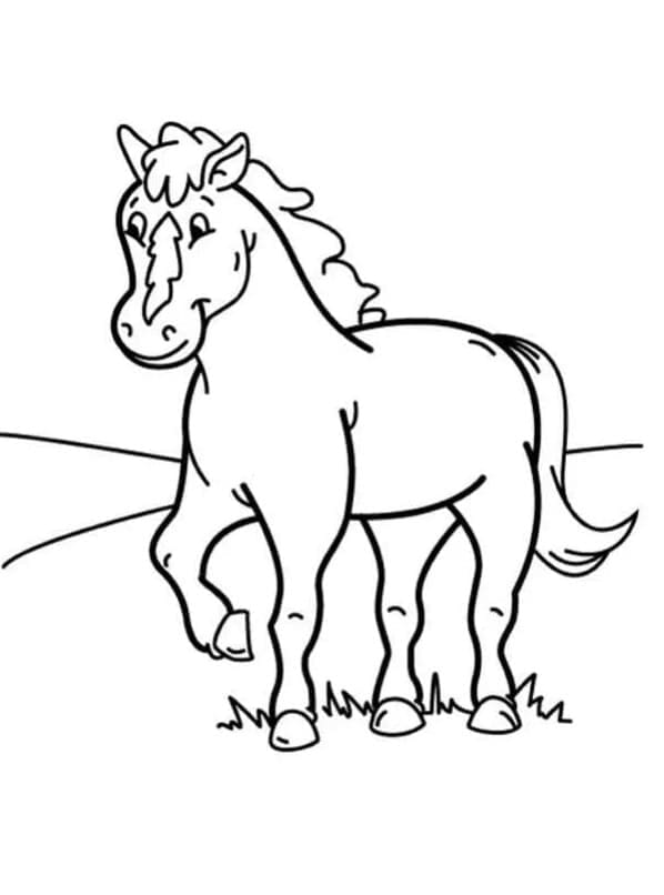 Coloriage Cheval Souriant