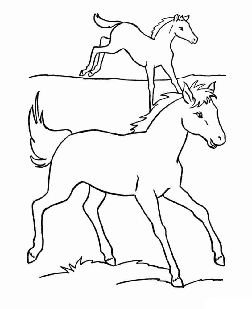 Chevaux coloring page