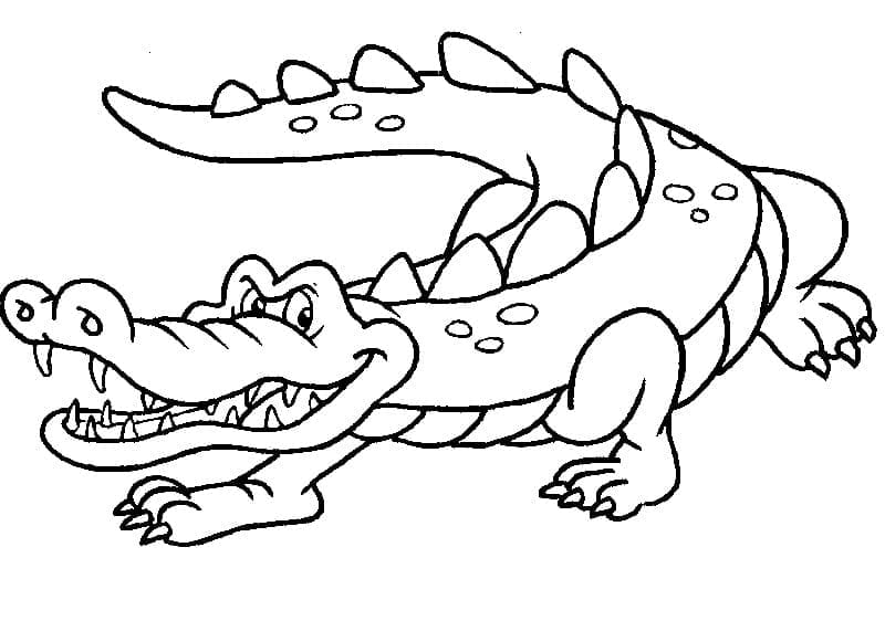 Coloriage Crocodile 2