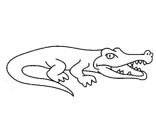 Crocodile 4 coloring page