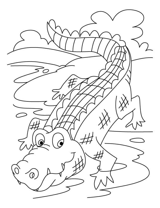 Crocodile Drôle coloring page