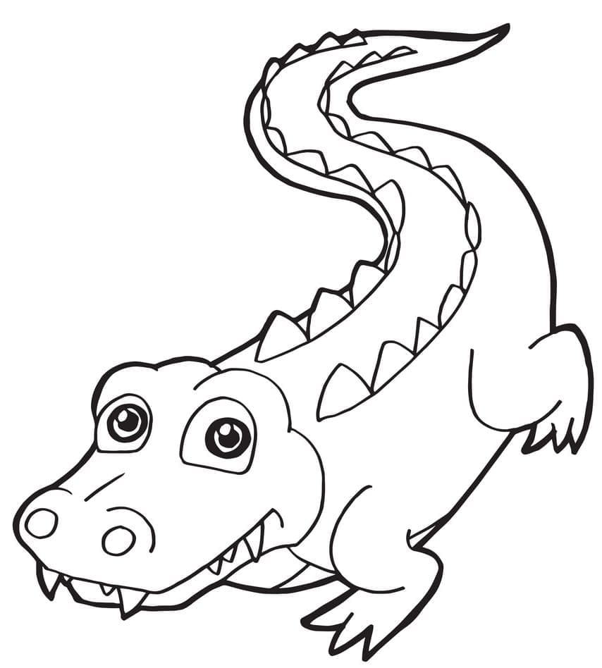 Crocodile Mignon Gratuit coloring page